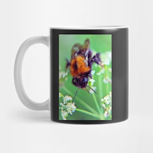 Bee Trouble Mug